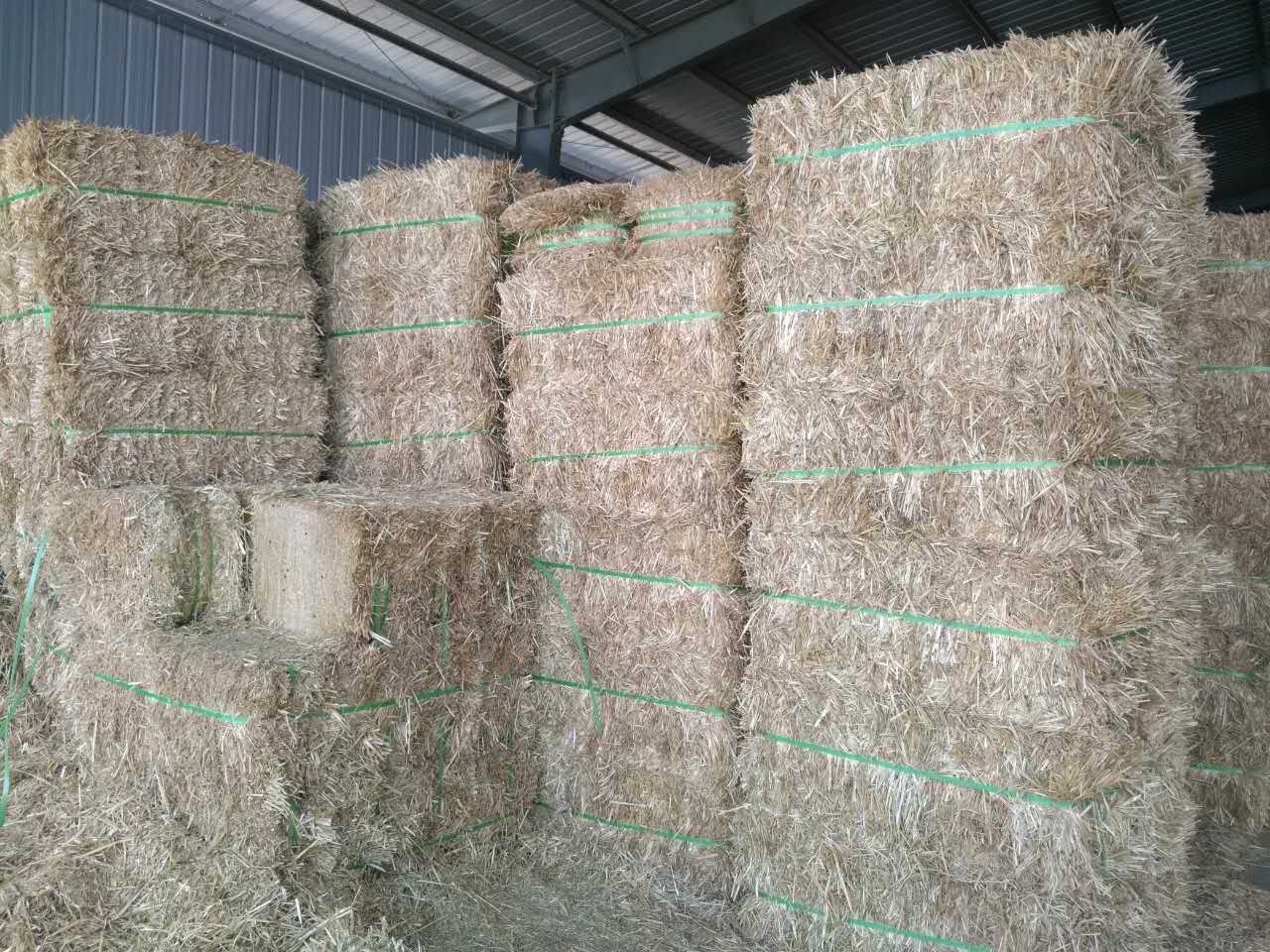 養(yǎng)殖800頭牛的養(yǎng)殖場用多大的鍘草機(jī)或者鍘草揉搓機(jī)合適？