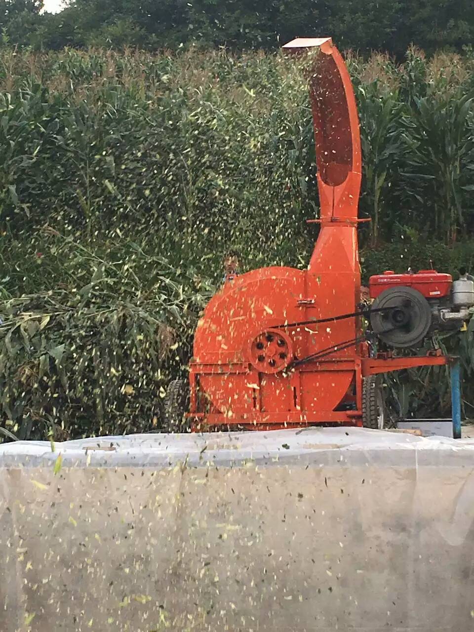 內(nèi)蒙古大型10噸鍘草機(jī)揉絲機(jī)視頻多少錢一臺？